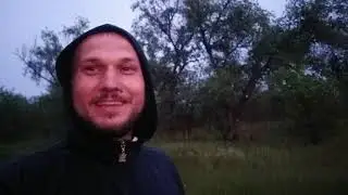 Где и Когда собирать виноградную улитку?