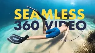 Insta360 X3 Invisible Dive Case (Seamless UNDERWATER 360 Footage)