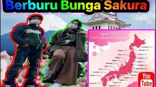 Berburu Bunga Sakura🌸