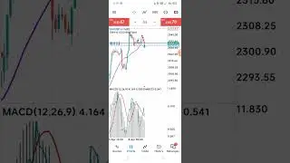 Trading GOLD on a Monday, Forex trading
