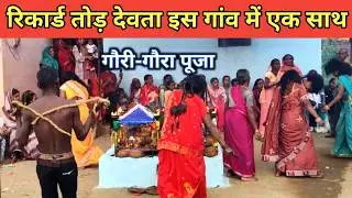 गौरी-गौरा पूजा में एक साथ इतने लोगों को आया देवता ?। Gouri-Goura Puja Ausar Patan Durg Chhattisgarh