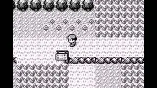 Pokemon Blue - Its Missingno!