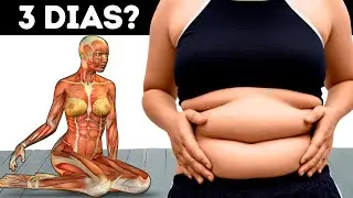 10 Exercícios FÁCEIS Para Perder Barriga Rápido [Desafio de 30 Dias]