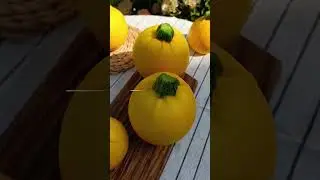 Кабачок Амарил #садыроссии #сад #дача#кабачок