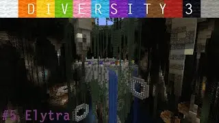 Diversity 3 #5 | Elytra