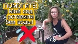 ПОМОГИТЕ! МОЙ САД ОСТАВИЛИ БЕЗ ВОДЫ! Беспредел в СНТ Таволга | ПЛАТИ И МОЛЧИ | Светлана Самойлова