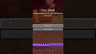 Minecraft, But I’m a Skeleton. (Check out full video on channel)
