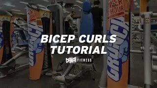Bicep Curls Tutorial