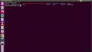 How to make or remove folder by using terminal ।। Linux Series।। SIM Protein