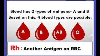 ABO and Rh Blood group System | Blood types