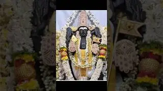 திருச்செந்தூர் ஆவணி திருவிழாவின் சிறப்புகள் என்ன தெரியுமா🐓மகிமைகள் #shorts #short #trending #viral
