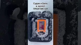 Как видно рыбу в эхолот Практик 6М? Не активный Судак ходит по дну с белью #судакнавибы #судакзимой