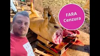 Taiatul porcul de Craciun / obiceiuri / tradiții / L-am tăiat pe Ghita