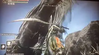After beating Night Cavalry Boss this happened.
