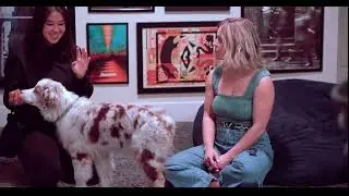 Tip: When your dog gets overstimulated, try a 'FIND IT'