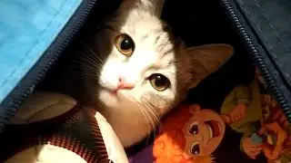 Рюкзак уже не вашенский