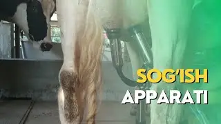 Sut sog’ish apparati-QANDAY BO’LADI?! Apparatda sog’ish jarayoni!