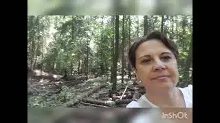 Прогулка в Лосином Острове. Июнь 23г.