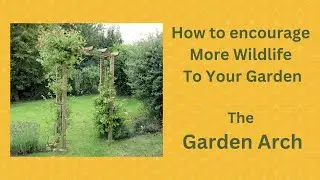How to encourage more wildlife to your garden using a simple garden arch
