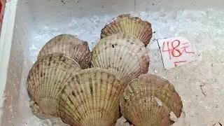 Belanja sore hari ke pasar  ikan hongkong