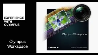 Learn With Olympus (19) | Werken met Olympus workspace