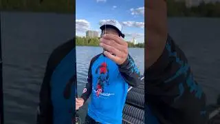 Поводок для ловли судака 