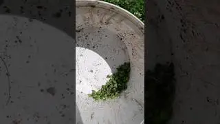 Просто ужас😖 