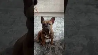 Я мужчина хоть куда🤣