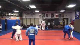 Randori 3 31 2016