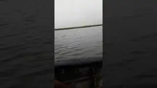 Открытие охоты на утку 2018. Мотор болотоход 13 л.с