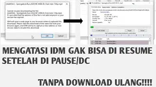 Mengatasi Internet Download Manager Gak Bisa Di RESUME