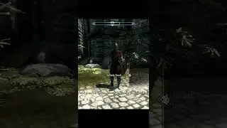 Skyrim ٠ What Happens If You Use the Shouts inside the City