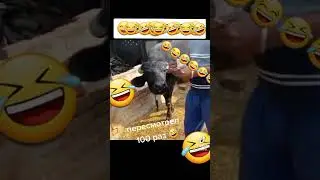 PUL SANAYDIGAN YANGICHA MASHINA🤣🤣🤣