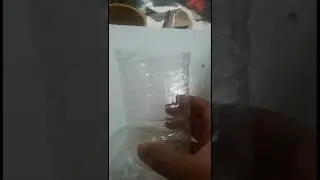 laranja em vaso descartável