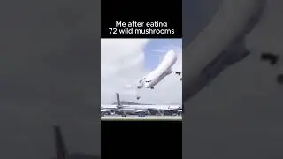 Plane meme #plane #meme #funny