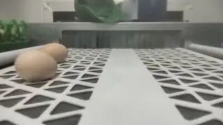 ডিম