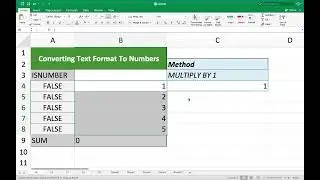 Converting Numbers with Text Formats into Number Format in Microsoft Excel