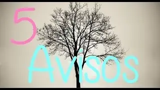 5 Avisos