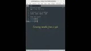 unpacking the items from the tuple 