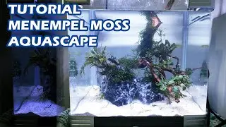 Tutorial on How to Attach Moss to Stone and Wood with Super Glue