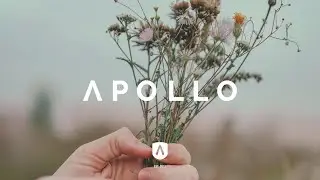 NAIM - Let it flow