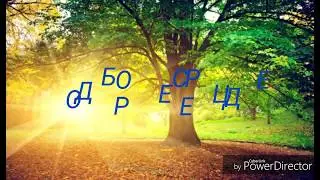 Мои семена на 2020 год.