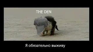 DayZ - Первое приключение (1 серия)