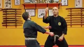 DVD KOTO RYU KOPPO JUTSU - Trailer - Christian Petroccello