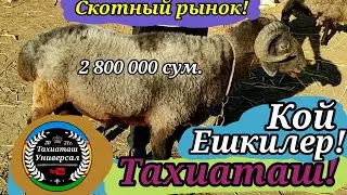 🐑КОЙ-ЕШКИЛЕР🐐СКОТНЫЙ РЫНОК