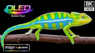 OLED DEMO 2026 – Extreme 8K HDR Colors (Dolby Vision, Ultra HD)