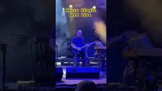 Marco Sfogli guitar solo con PFM live @ Mezzojuso (PA)