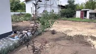 Подготовка территории под рулонный газон