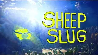 Sheep Slug l Test Footage