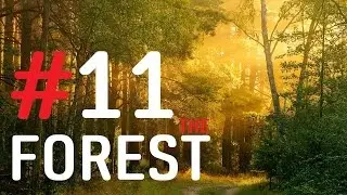 The Forest | #11 | Neuanfang! [BMG]